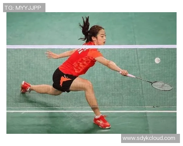 深入分析北京羽毛球队的区域防守战术及其战术优势与应用